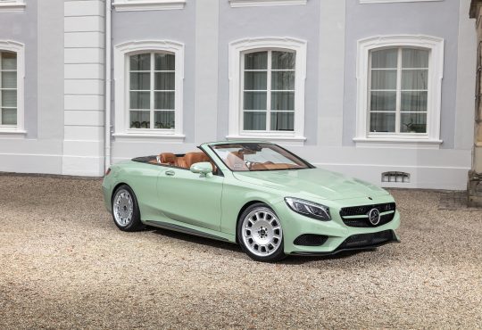 Carlsson Diospyros